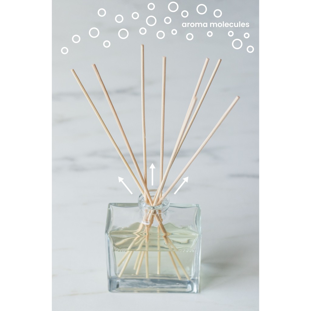 Sale Stick Stik Rotan Rattan Reed Diffuser Nature Fibre Fiber Essential Oil Aromatherapy Aromaterapi