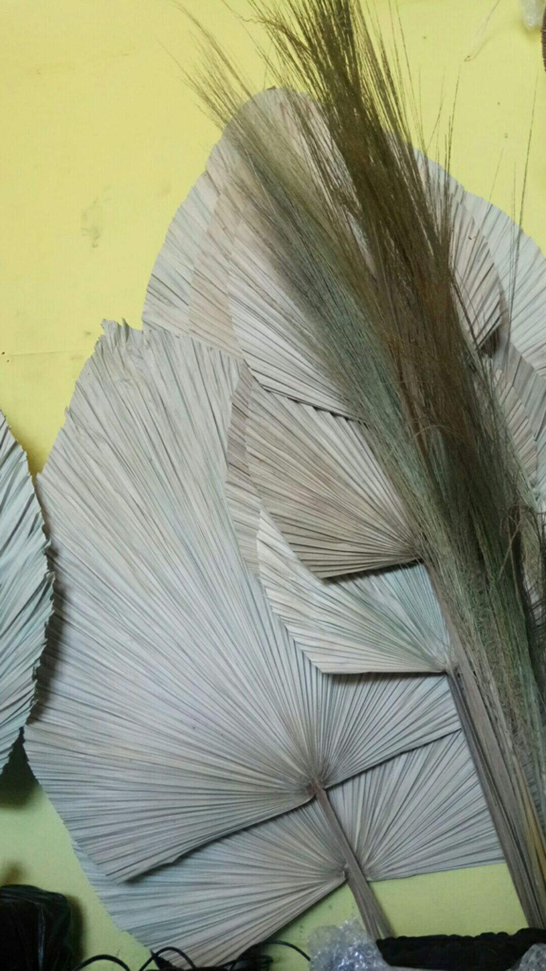  DAUN  PALEM  KERING MURAH KECIL DRIED PALM DEKORASI  PALEM  