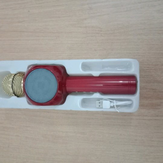 MICROPHONE WIRELESS SPEAKER