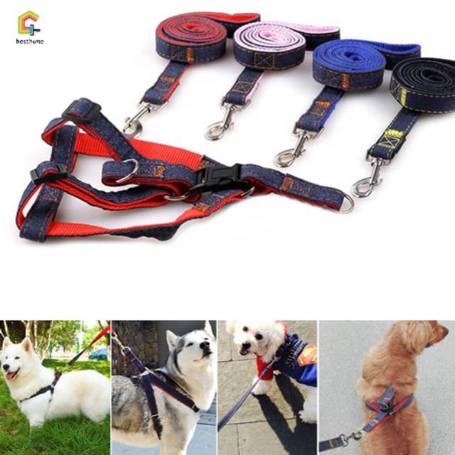 Pet Harness &quot;CLASSIC DENIM&quot; Kalung Tali Tuntun Anjing Besar