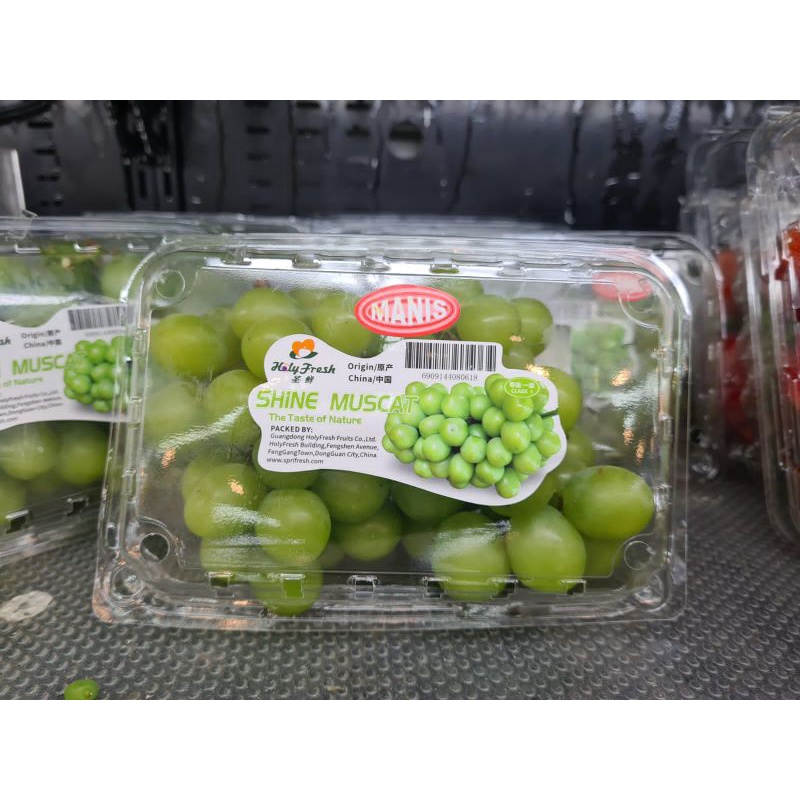 

Anggur Green Shine Muscat /pack 500grm PROMO
