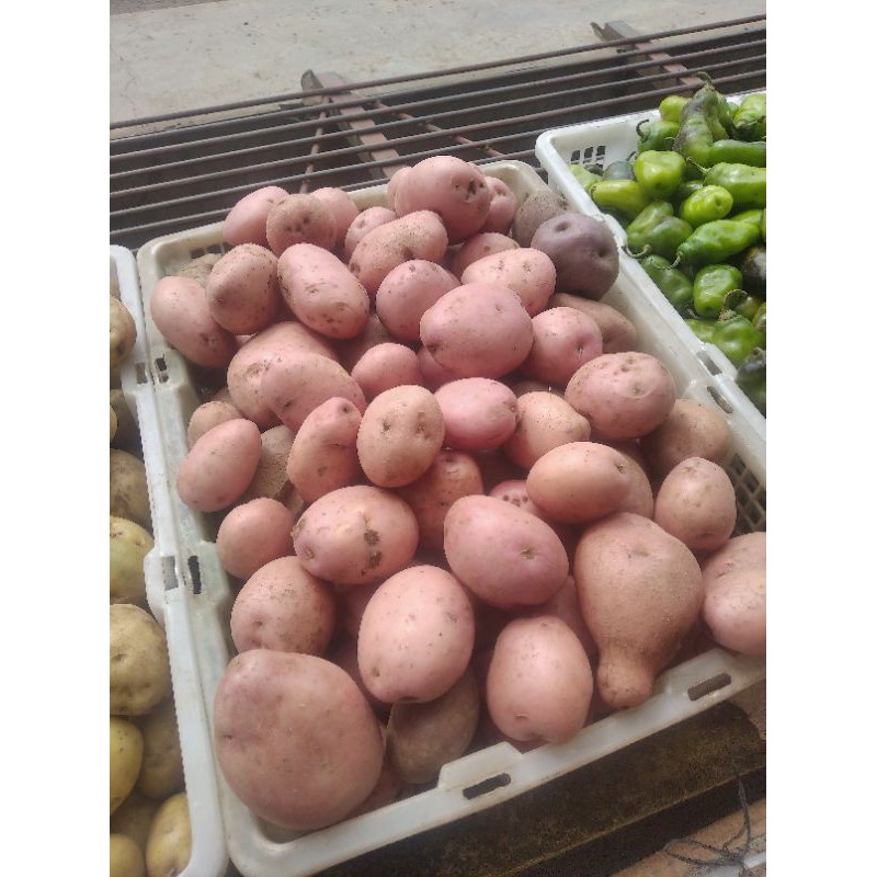 Kentang merah asli Dieng 500 gram