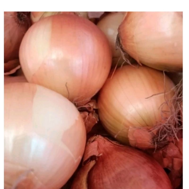 

Bawang Bombay