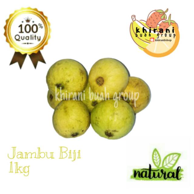 

JAMBU BIJI/ JAMBU BIJI MERAH/BUAHSEGAR/JAMBU BIJI MERAH