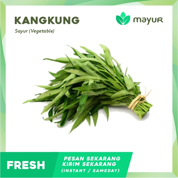 

Kangkung 1 Ikat/Pack (250 gram)