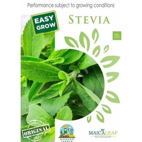 ><><><] Benih stevia herbs