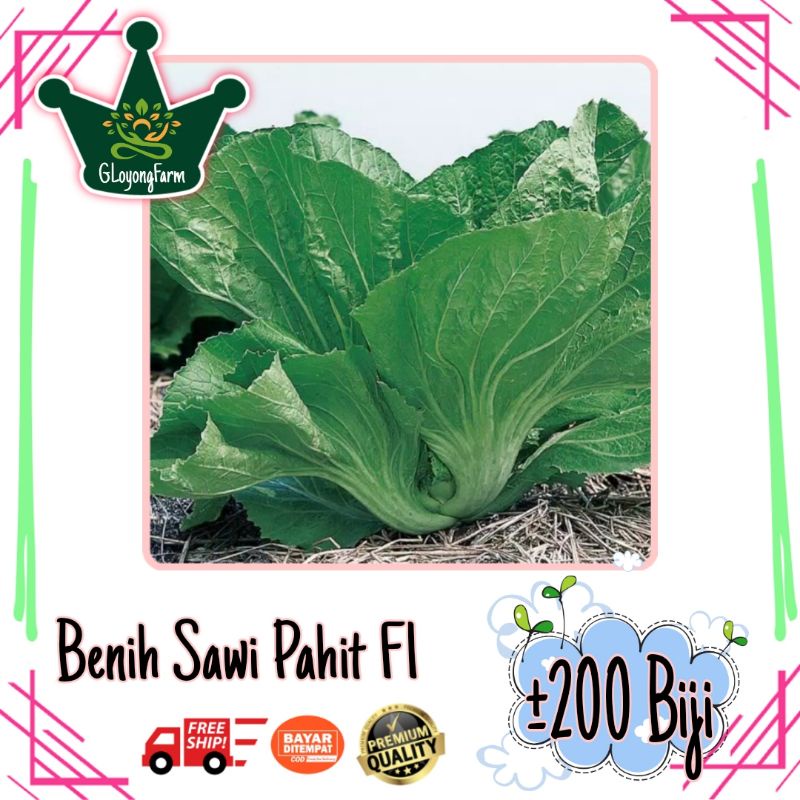 Benih Sayuran Selada Brokoli Kangkung Bayam Seledri Kubis BungaKol Pakcoy Caisim Kailan-200 Sawi Pahit