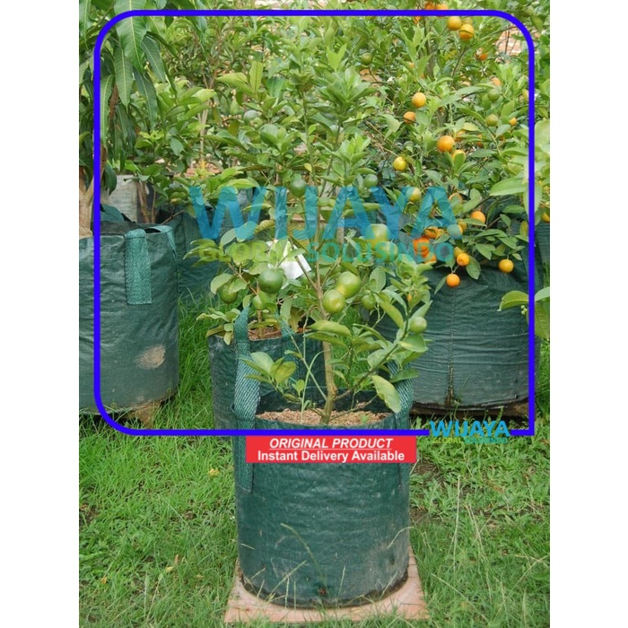 Planter Bag 30 Liter Easy Grow - Hijau