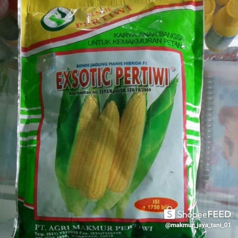 BENIH JAGUNG MANIS EXSOTIC PERTIWI