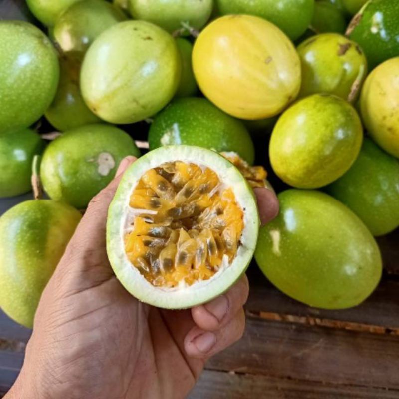 

Buah Markisa Manis Segar campur asam 1kg