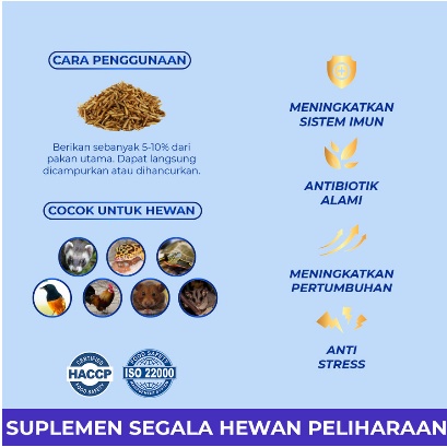 Bestico BIO-POP Suplemen Hewan Peliharaan