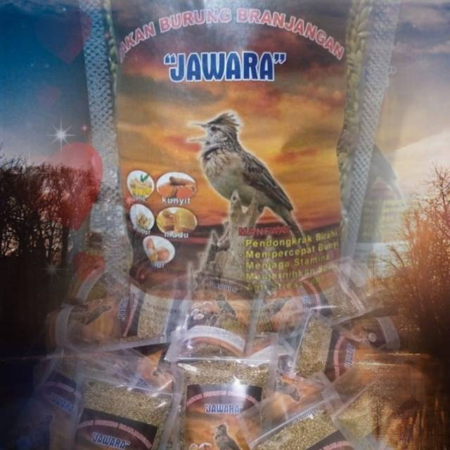 Pakan burung branjangan