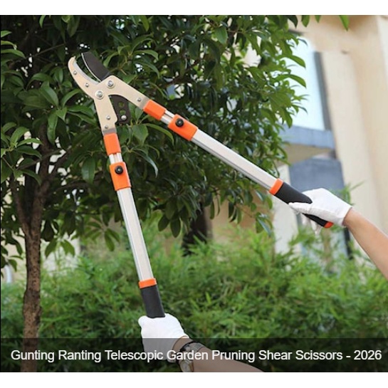 

Gunting Ranting Telescopic Garden Pruning Shear Scissors - 2026