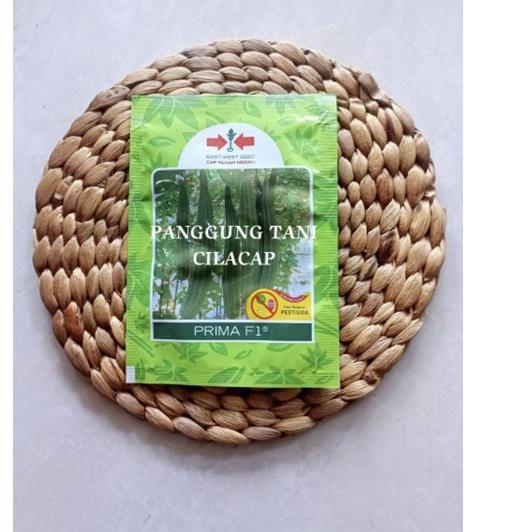 ☄️Harga Baru Benih Gambas/Oyong PRIMA F1 Termurah Ori bergaransi #TREND