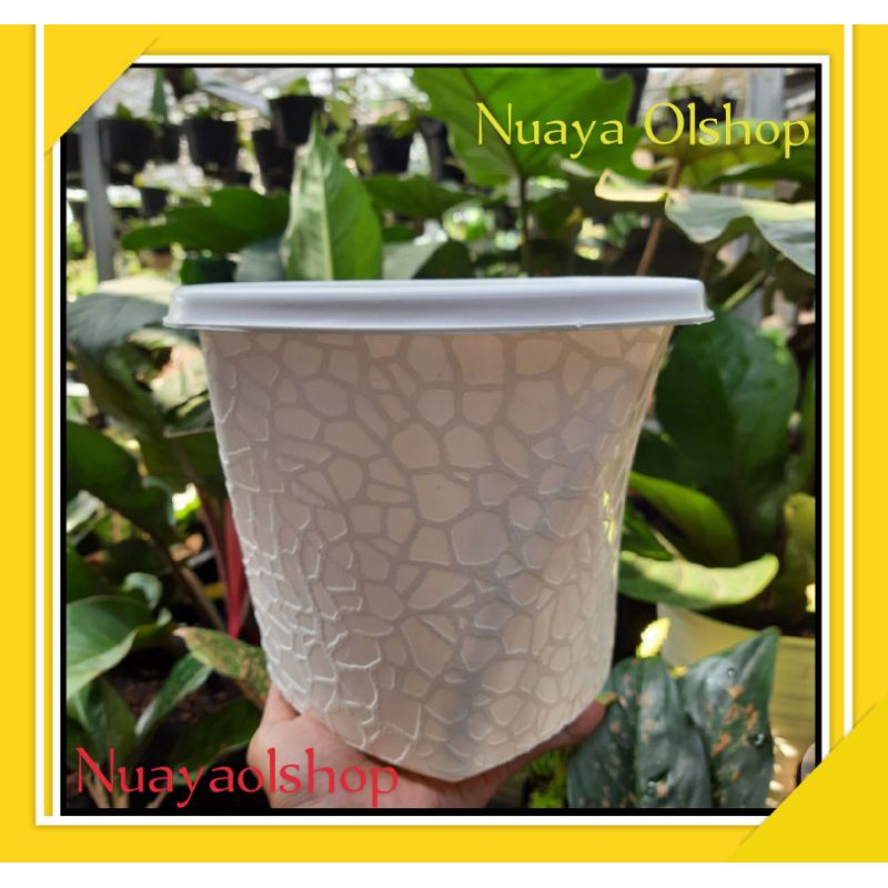 Pot Bunga Murah Pot Bunga Pot Bunga Putih Pot Bunga Plastik Pot Tanaman Pot Bunga Twister Putih 20cm