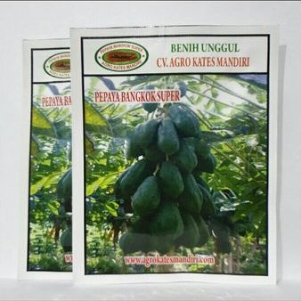 Bibit Pepaya Bangkok Unggul AGRO KATES Isi 1 Gram. Benih Pepaya Bangkok. Biji Pepaya. Pepaya Bangkok