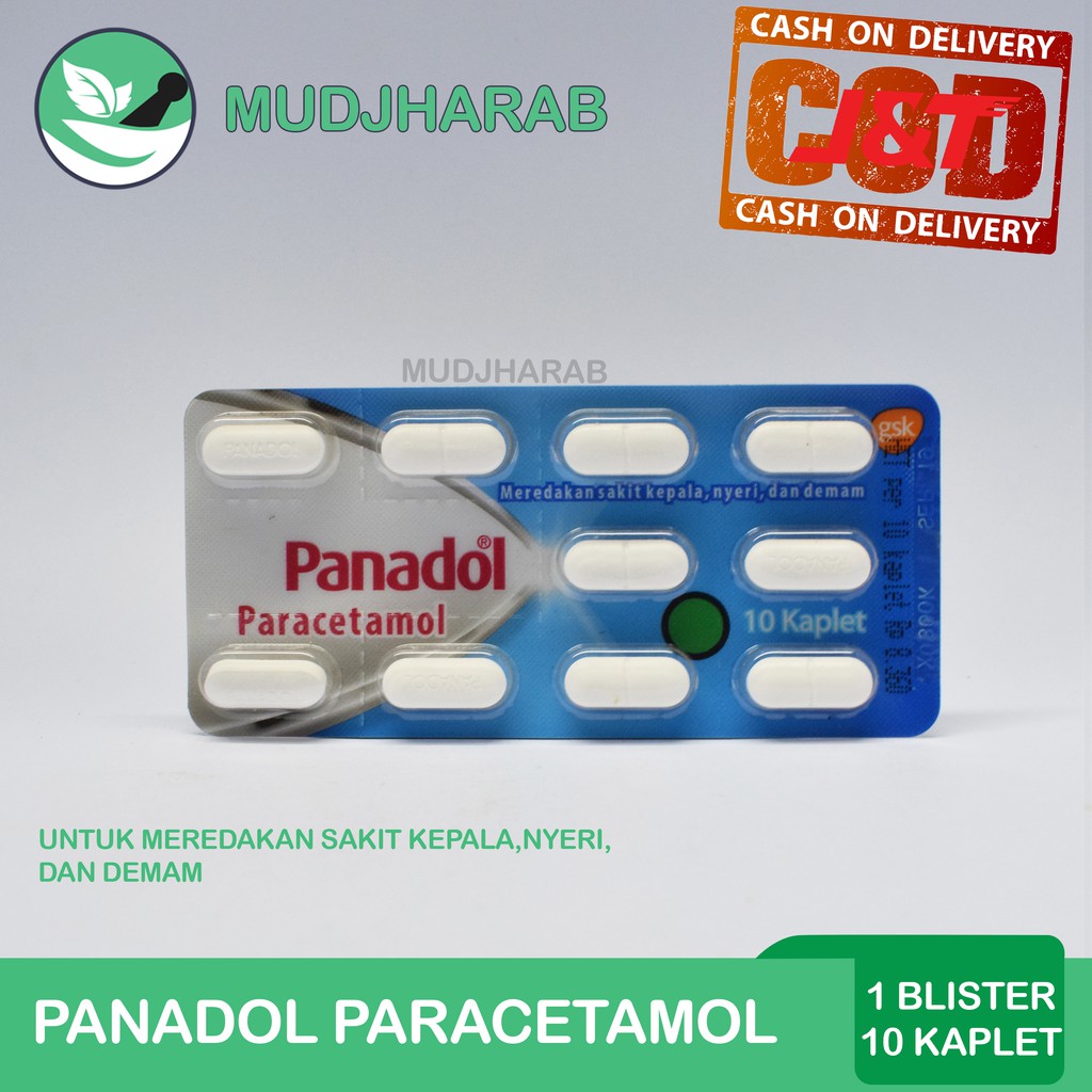 Jual PANADOL PARACETAMOL BIRU BLISTER TABLET STRIP 10'S Indonesia ...