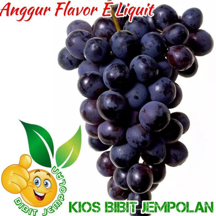 Pr3M1 Bibit Anggur Import Flavor E Liquit Cr4Ft