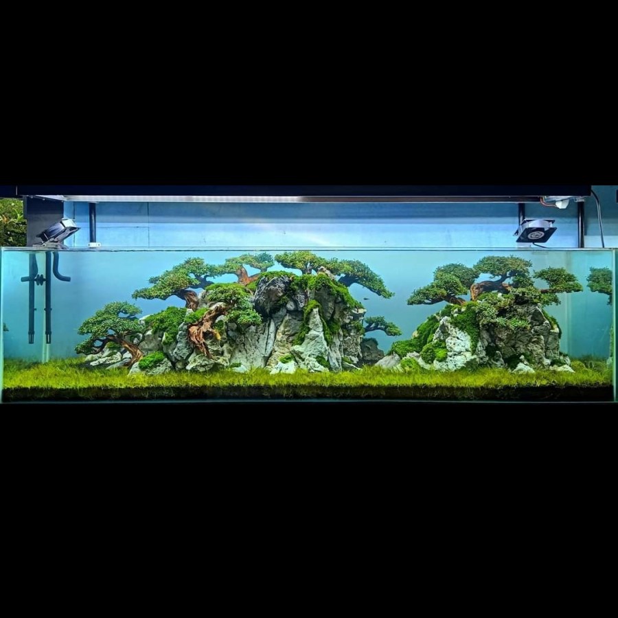 Nickz Aquascape Natural Bonsai 200cm Fullset