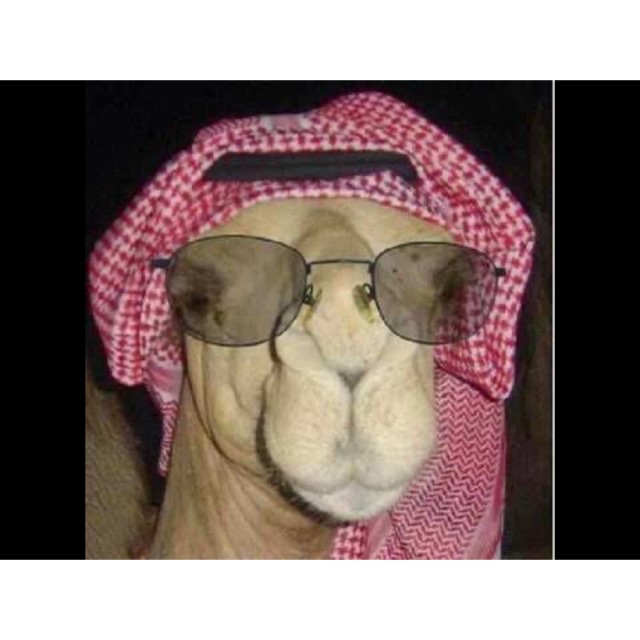 haaaaae