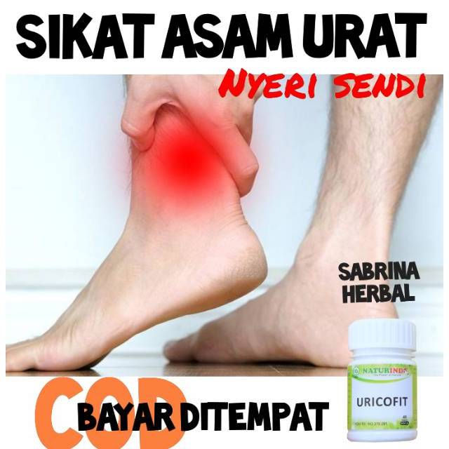 

COD OBAT ASAM URAT OBAT HERBAL ASAM URAT NYERI SENDI PENURUN ASAM URAT SENDI BENGKAK NATURINDO