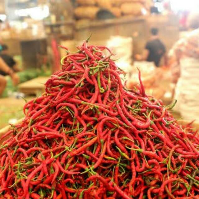  Cabe cabai rawit merah hijau cabe keriting 250gr 