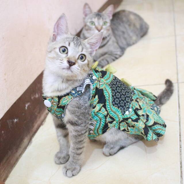 Dress batik hijau lucu untuk kucing dan anjing baju kucing murah terlaris size S-XL