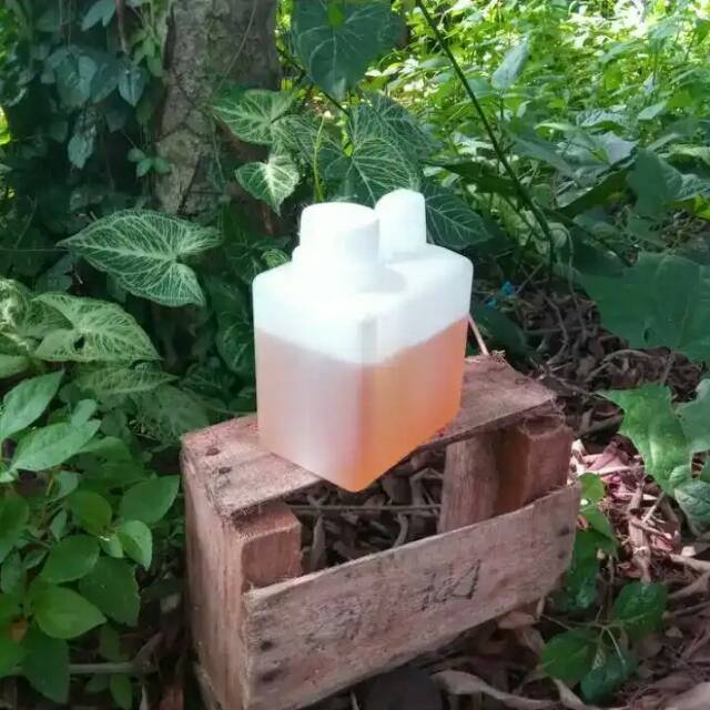 

MADU KELENKENG ORIGINAL