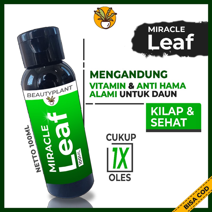 Pengkilap Daun Tanaman Hias Kilap Daun Organik Semir Daun Organik