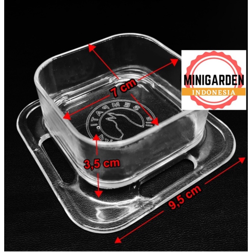 CEPUK KOTAK KENARI TEMPAT MAKAN MINUM BURUNG MODEL MANGKOK cangkir akrilik mika transparant burung kenari