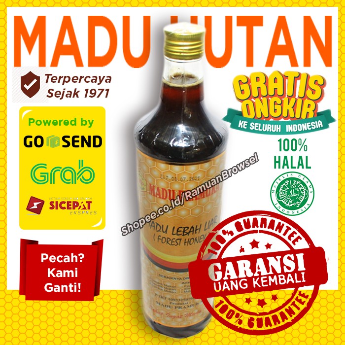 

Madu Lebah Liar Pramuka - Madu Hutan 650ml Alami