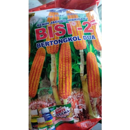 benih jagung bisi 2