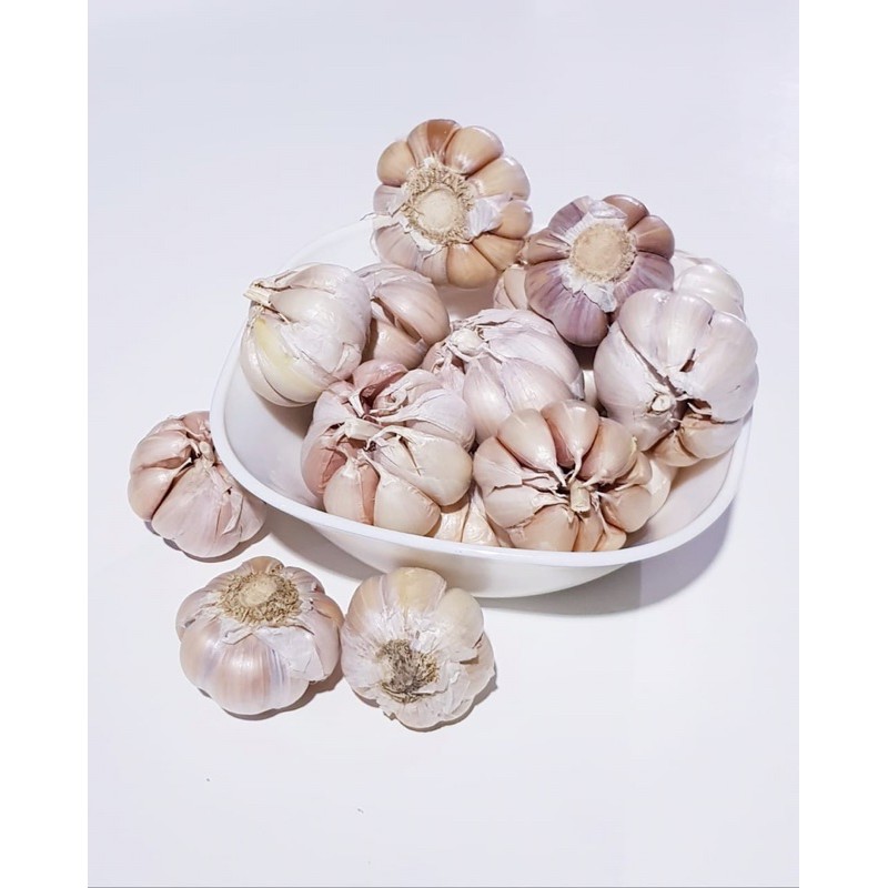 

BAWANG PUTIH HONAN 1 KG