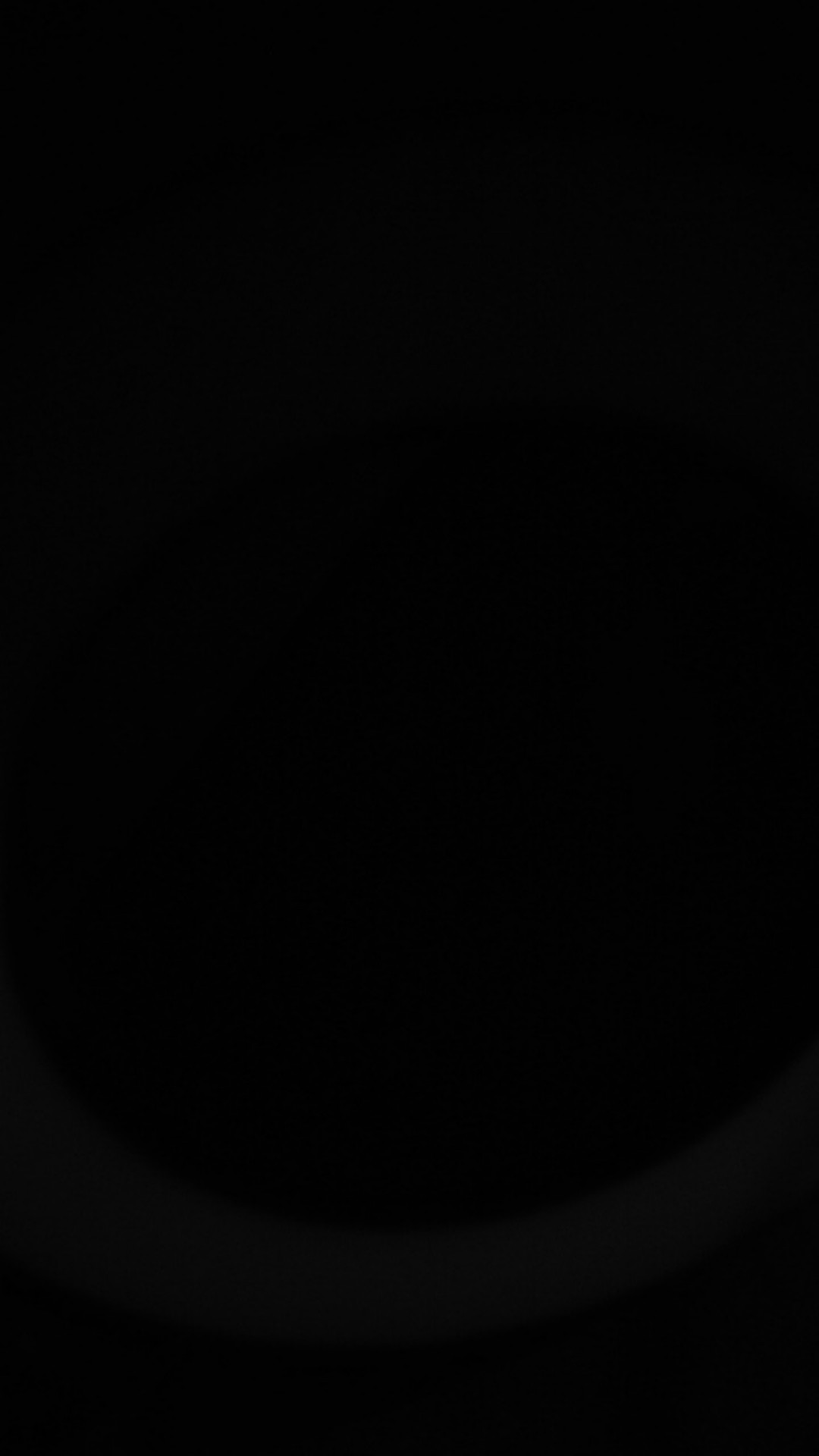 Eyeshadow Lameila 12 Colors