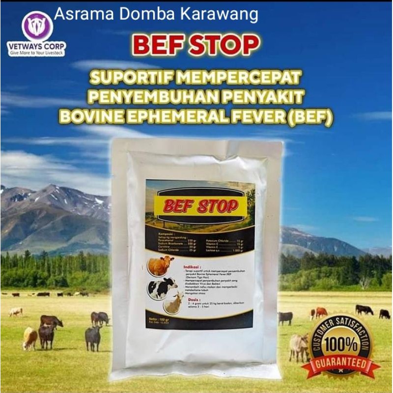 BEF-STOP untuk sapi demam,ambruk
