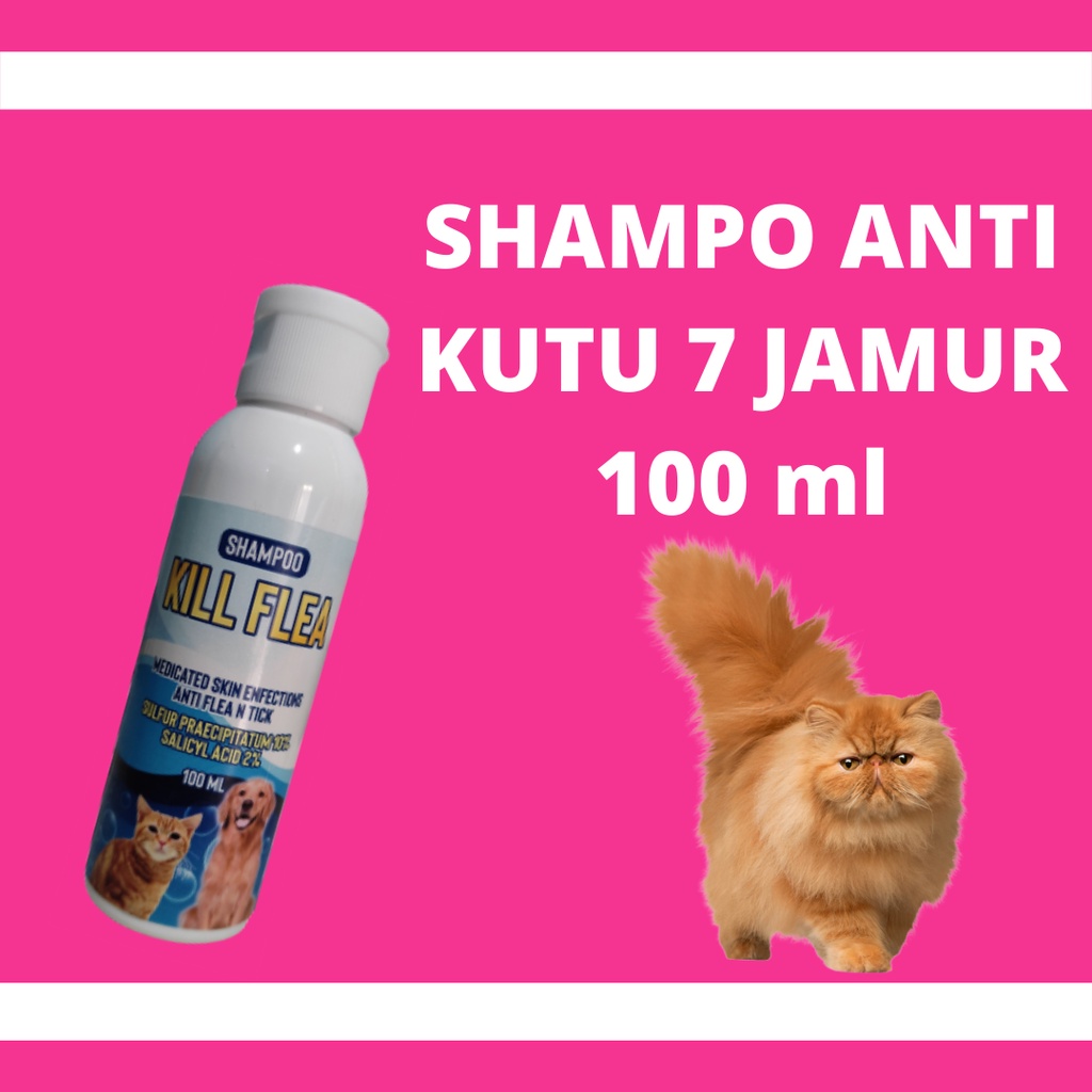 VITAMIN KUCING VITAMIN BULU KUCING OBAT KUTU KUCING SAMPO KUCING PENUMBUH BULU KUCING PENGGEMUK KUCING PELEBAT BULU KUCING FURMAX BIGMAX Olive Care Royal Cats Maxcat Flea Remover Big Cat