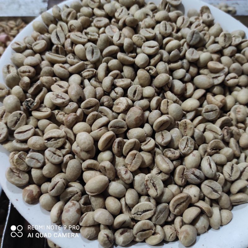 

Biji kopi robusta berat 1000 g