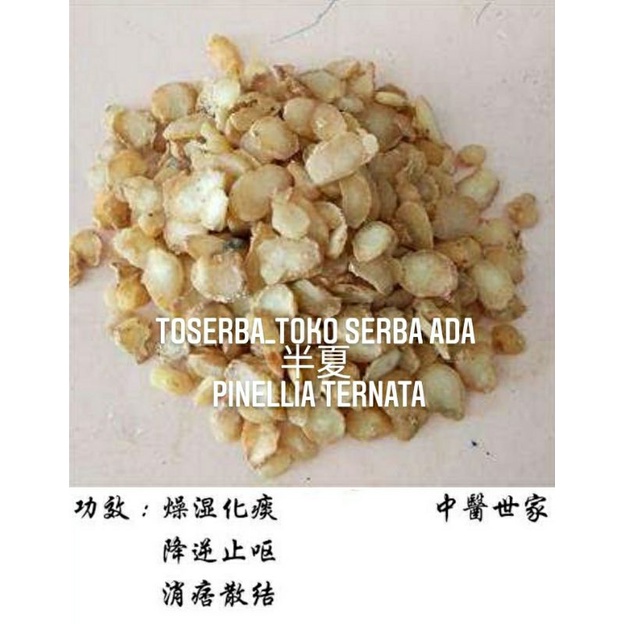 

100gr Herbal Zhi Ban Xia 制半夏 Pinellia Ternata Premium Grade