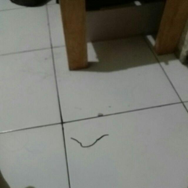 Batik Sogan Solo | Batik Klasik | Jarik Klasik 1101