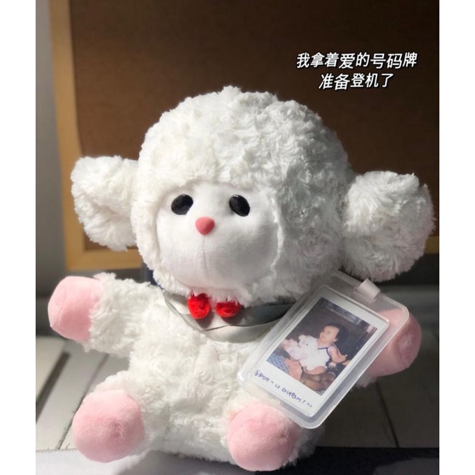 [READY STOCK] DONGHAE SHEEP DOLL