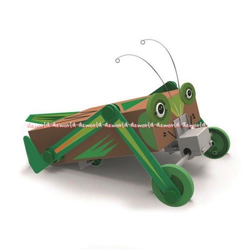 4M Eco Engineering Motorized Box Bug Paket Mainan Kit Membuat Katak