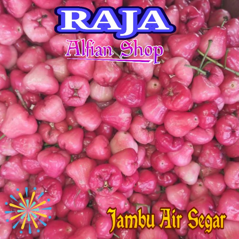 

Jambu Air Segar Per 500 Gram