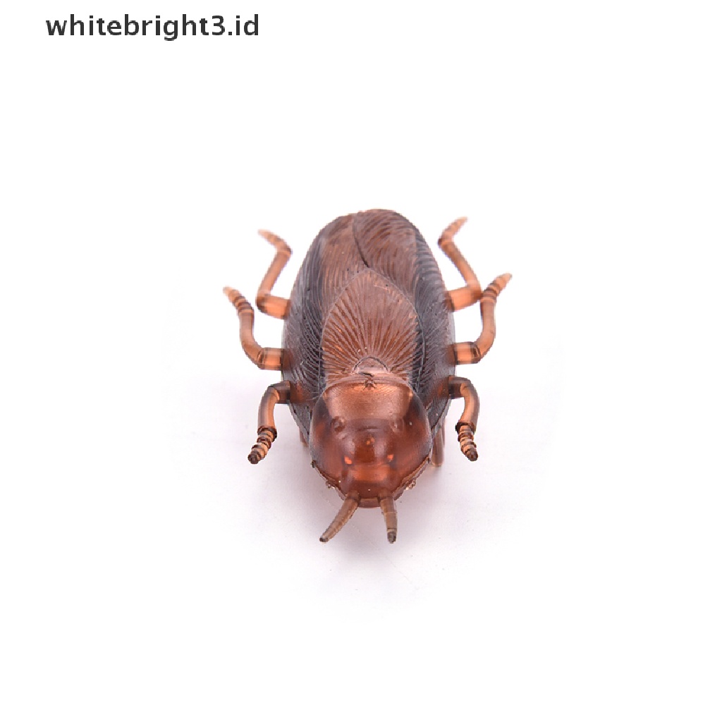 (whitebright3.id) Mainan Interaktif Kecoa Elektronik Tenaga Baterai Untuk Kucing