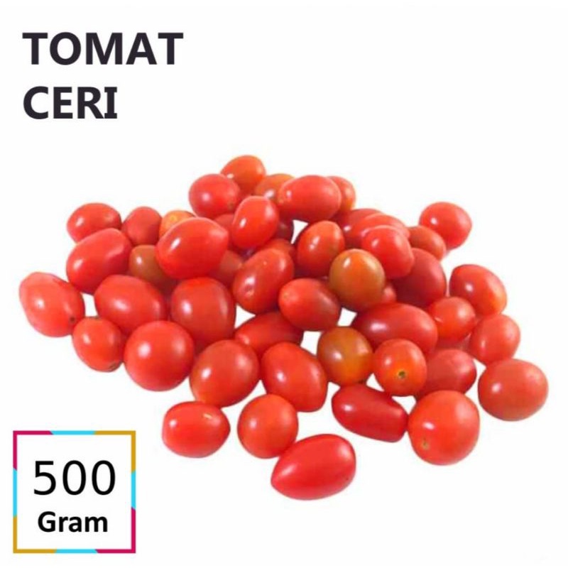

Tomat Kecil / Tomat Mini Segar 500 Grm