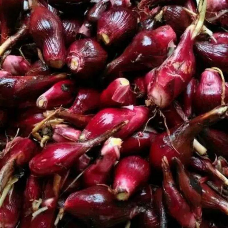 

bawang dayak 500grm