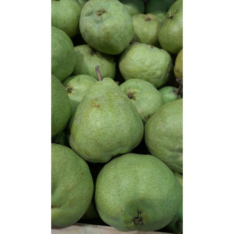 

PEAR PACKHAM