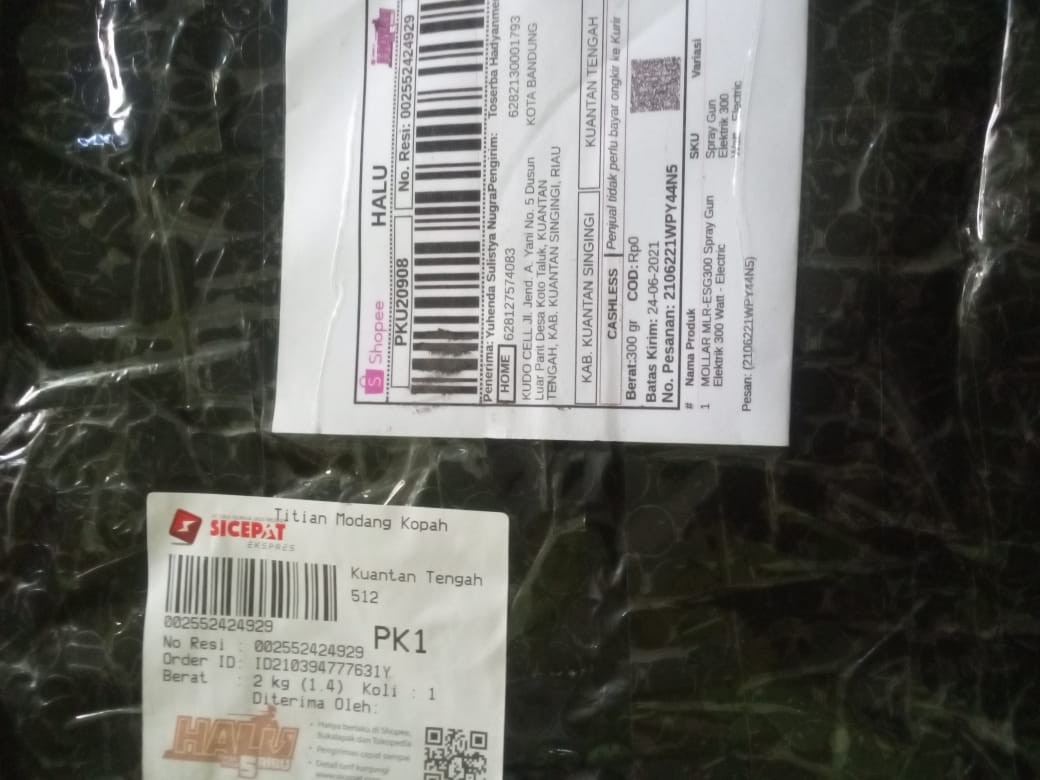 Mollar Mlr-esg300 Spray Gun Elektrik 300 Watt - Electric