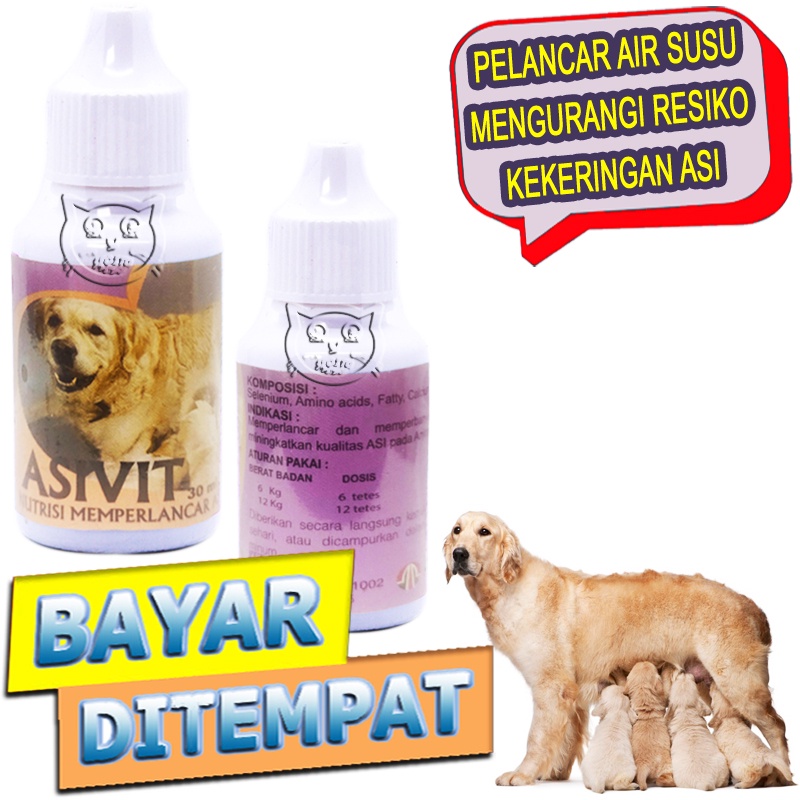 Asivit Dog Vitamin Menyusui Anjing Pelancar Air Susu
