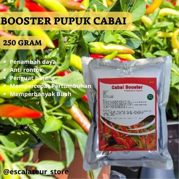 Booster Cabai Pelebat Buah Organik / Pupuk Booster Cabe Pemacu Cepat Berbuah Lebat Anti Rontok / Pup