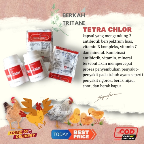 TETRA CHLOR 50 KAPSUL